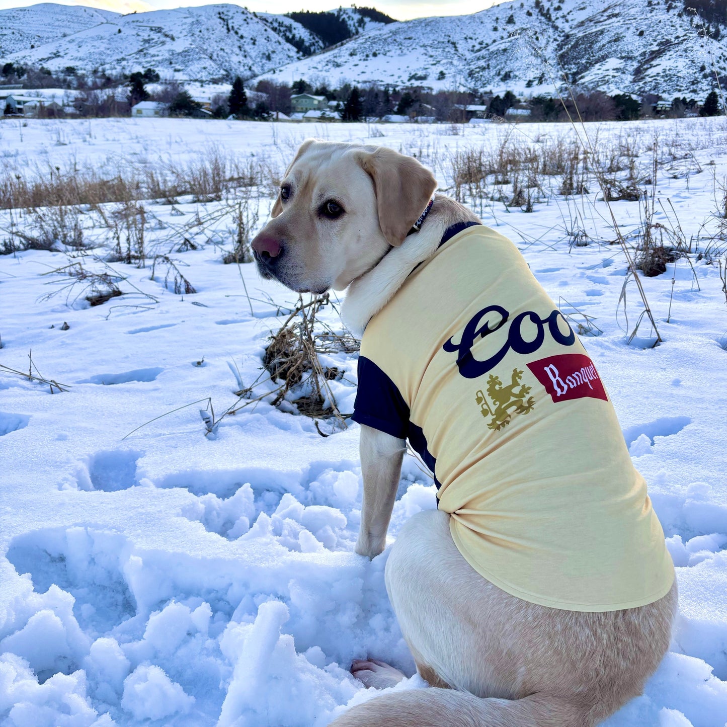 Dog Tee