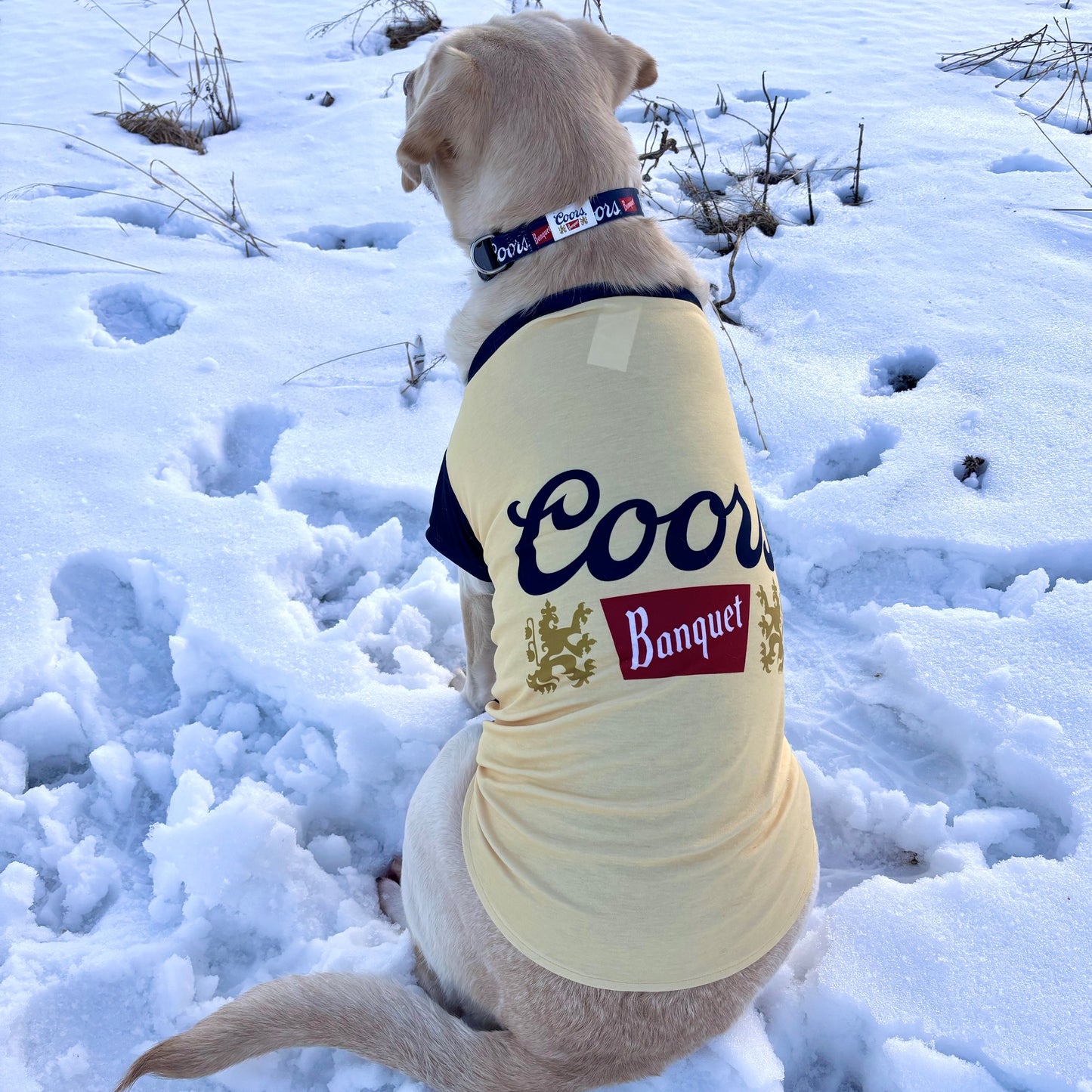 Dog Tee