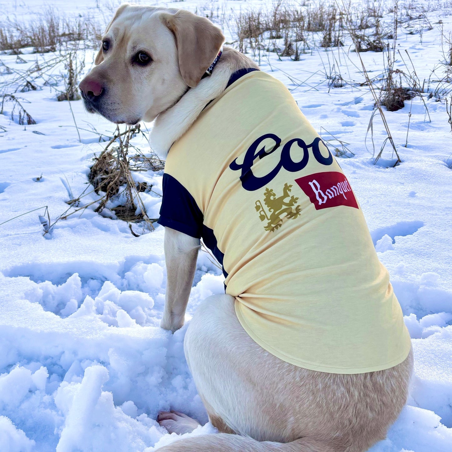 Dog Tee