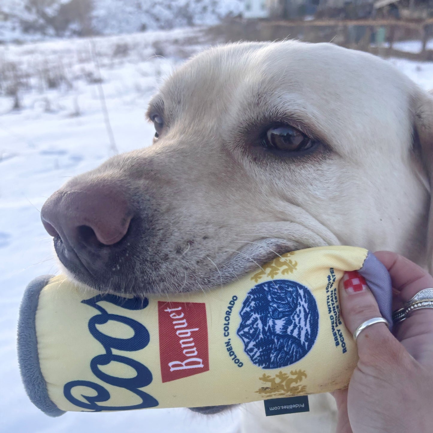 Plush Can Chew Toy