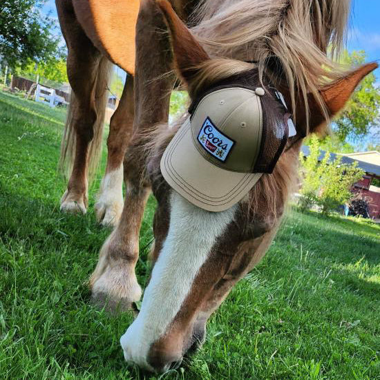 Dog Trucker Hat
