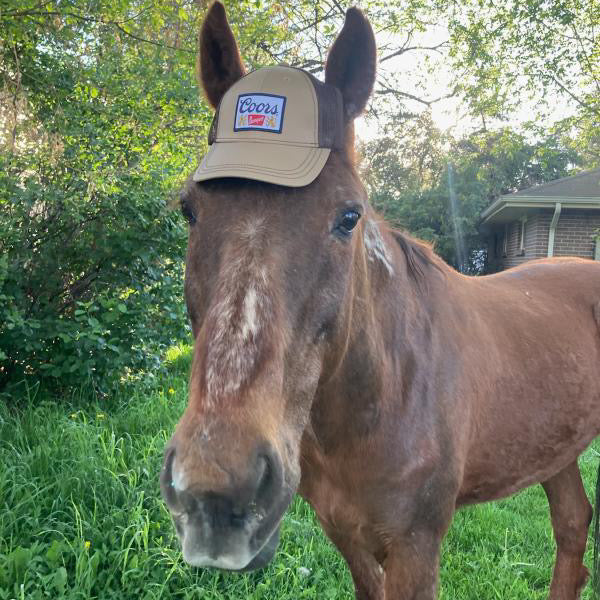 Dog Trucker Hat