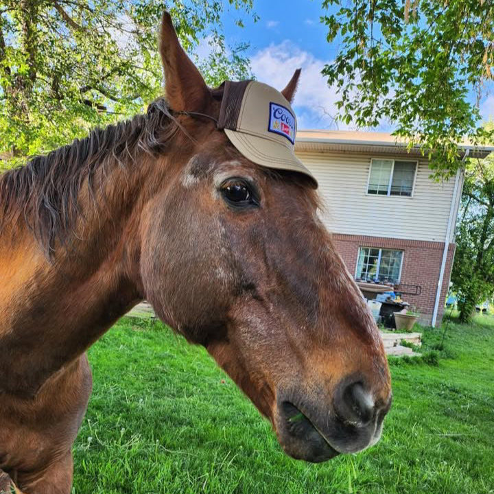 Dog Trucker Hat