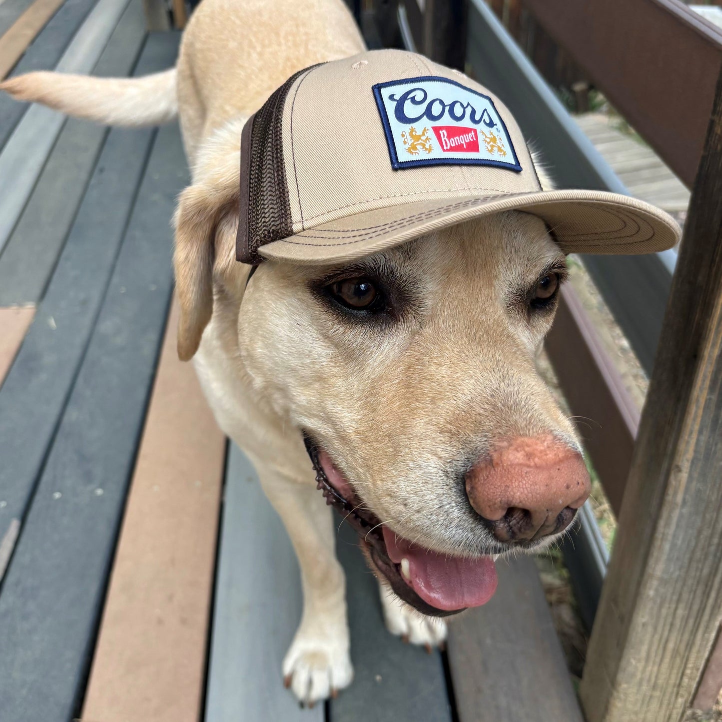 Dog Trucker Hat