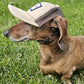 Dog Trucker Hat