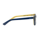 Glassy Acetate Frame Sunglasses