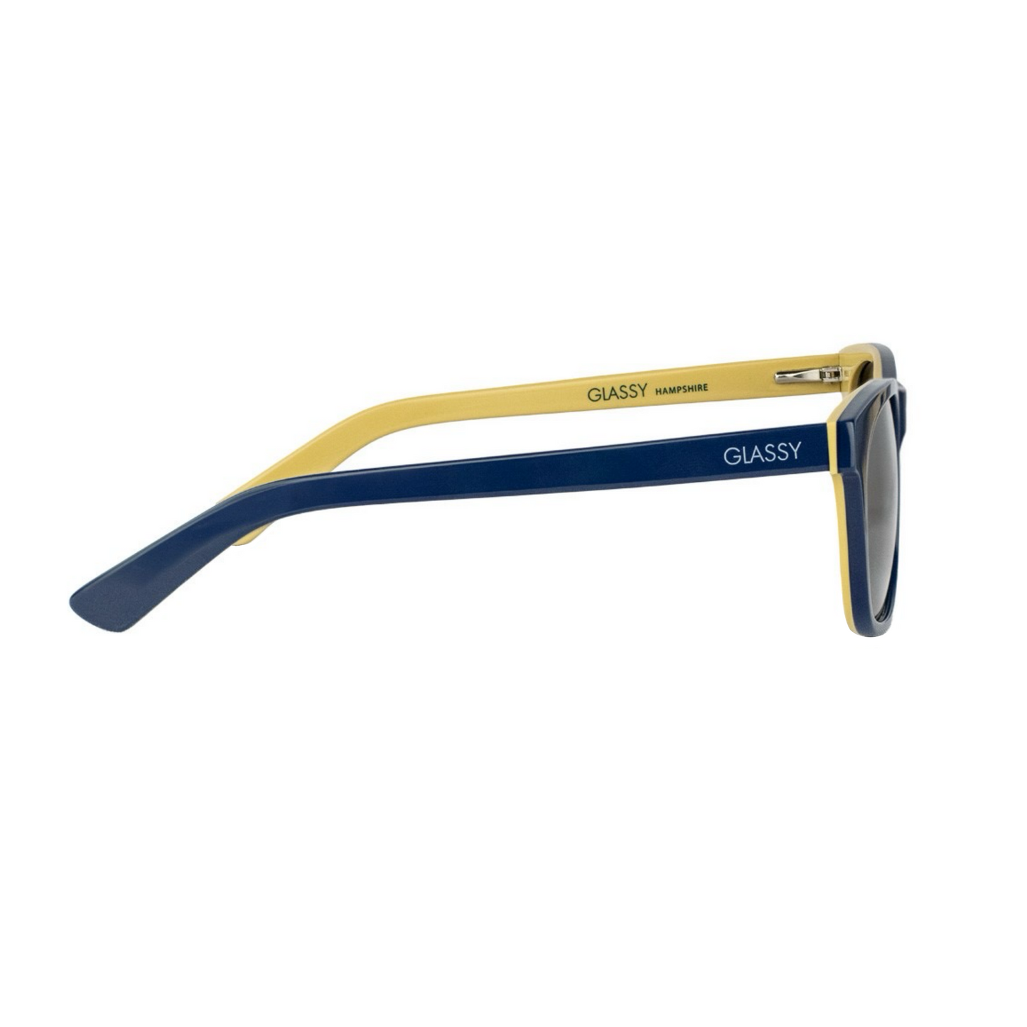 Glassy Acetate Frame Sunglasses