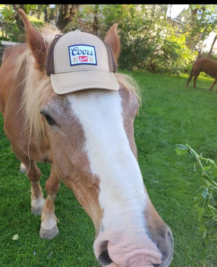 Dog Trucker Hat
